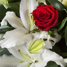 Florist Choice Bouquet