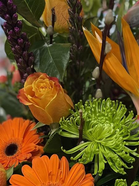Magnificent Flowers by Lesley Strachan Florist Lanark